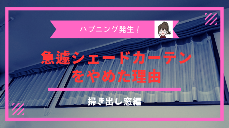 急遽、掃き出し窓のシェードカーテンをやめた理由 びびの注文住宅で後悔しない方法ブログ｜住友林業で26坪の平屋